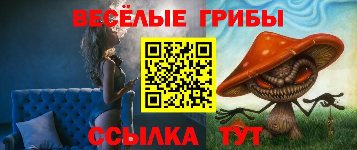 Псилоцибиновые грибы MAGIC MUSHROOMS  Вход с VPN  Петропавловск-Камчатский  Галлюциногенные грибы Cubensis 